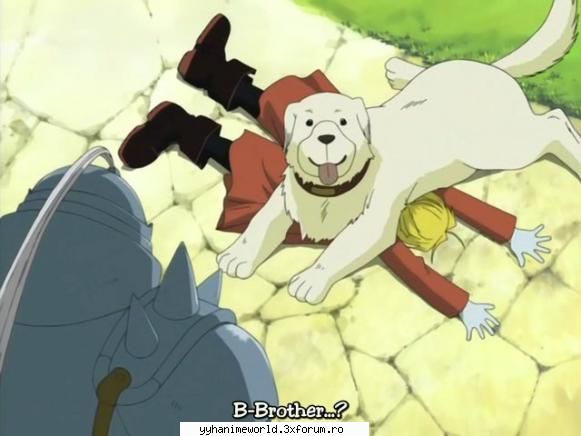 Funny Pictures - Bloody_Rose - ღ��.♥.�� FullMetal Alchimistღ��.♥.��