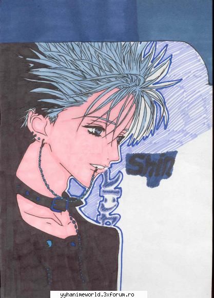 shin