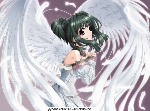angels &nbsp; &nbsp;